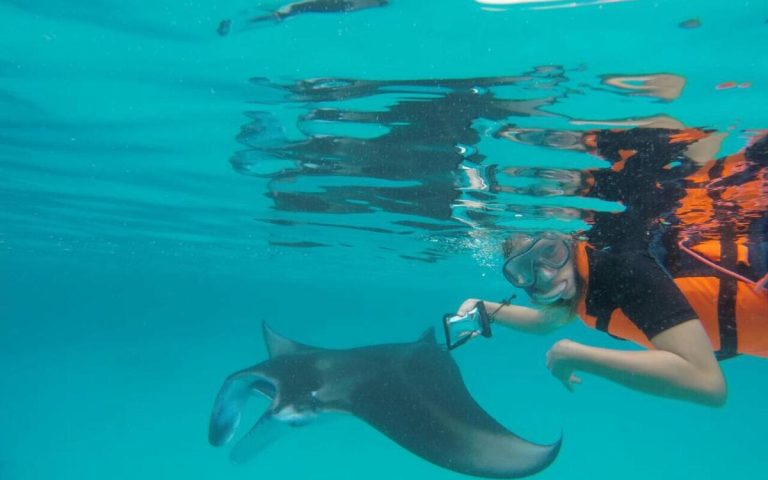 Trips to Manta Spot