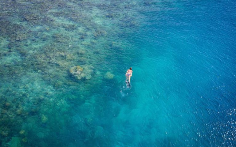 Snorkeling Trips